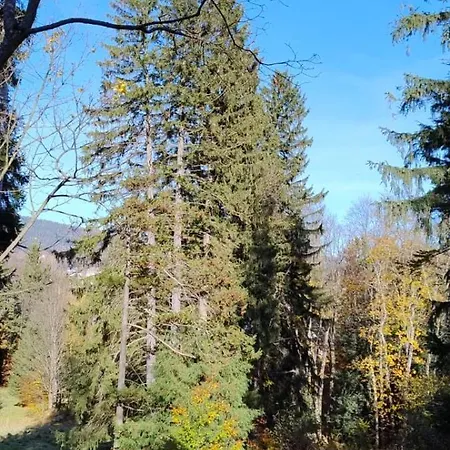 Szczypta Relaksu W Mariental *