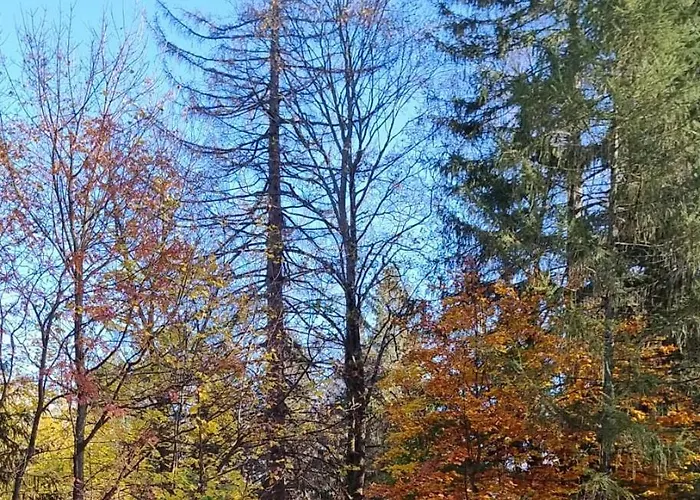 Апартаменты Szczypta Relaksu W Mariental *