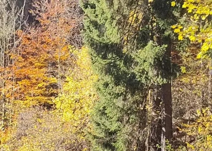 Szczypta Relaksu W Mariental *