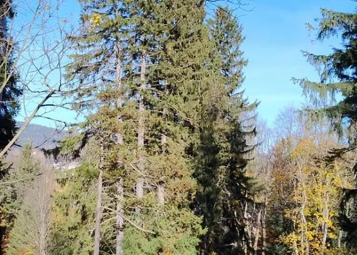 Szczypta Relaksu W Mariental *