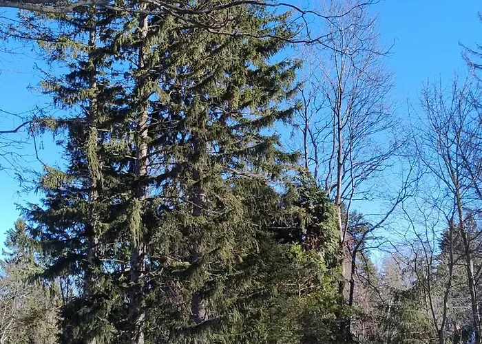 Szczypta Relaksu W Mariental * Шклярска-Поремба